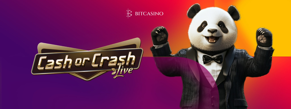 Cash or Crash strategy: Your guide to smarter wins